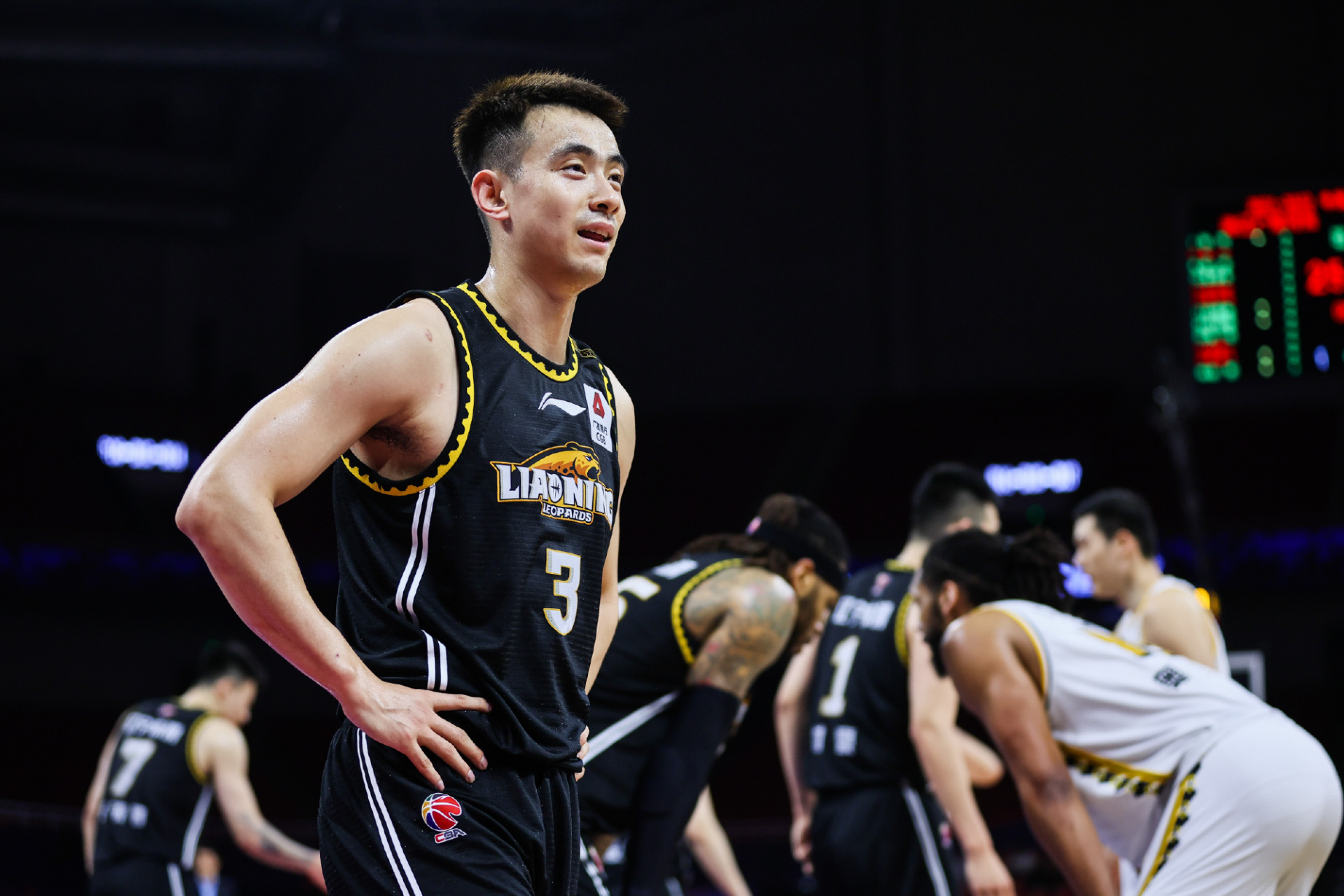 赵继伟转型教练?退役后或执教青年队 赵继伟转型教练?退役后或执教青年队