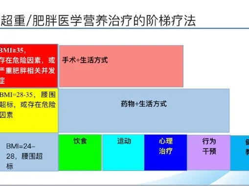 九游体育入口-运动员营养监测系统升级，实时分析代谢数据的简单介绍