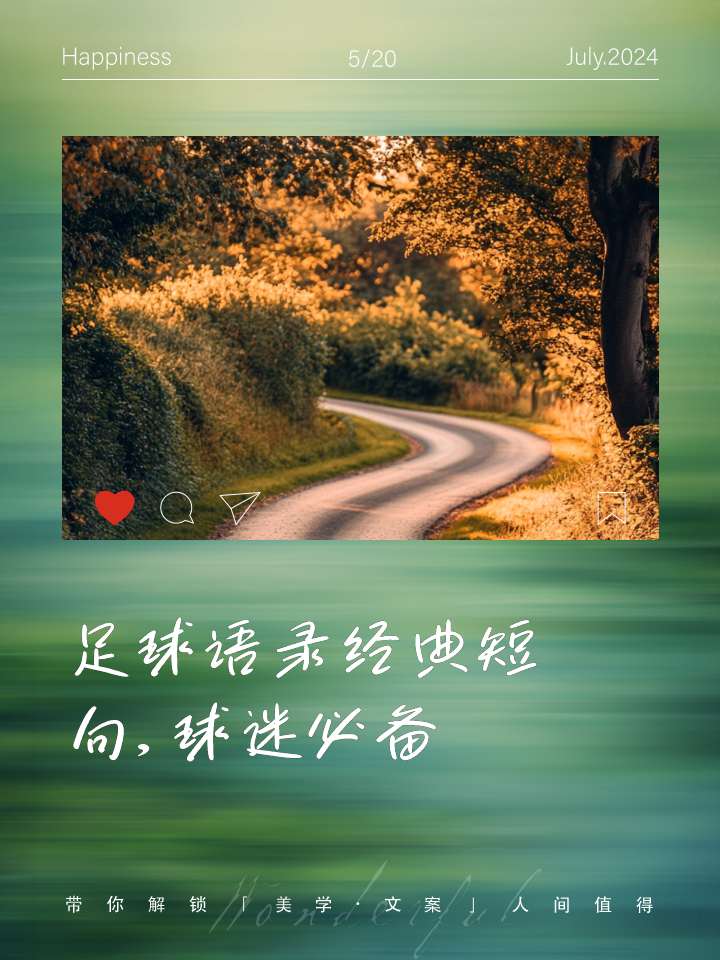 球迷语录大盘点：你中几条？的简单介绍