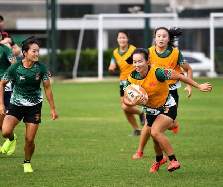 布莱顿的奇迹：小球队如何靠数据逆袭？的简单介绍